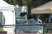 Enlarge photo 37