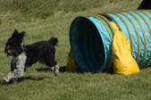 Enlarge photo 38