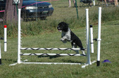 Enlarge photo 39