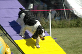 Enlarge photo 42