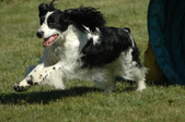 Enlarge photo 44