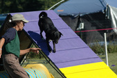 Enlarge photo 46