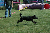 Enlarge photo 48