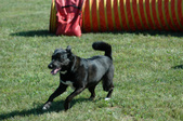 Enlarge photo 49