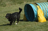 Enlarge photo 50