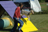 Enlarge photo 51