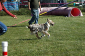 Enlarge photo 52