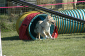 Enlarge photo 53