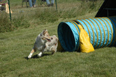 Enlarge photo 54