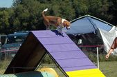Enlarge photo 55