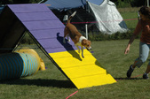 Enlarge photo 56