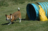 Enlarge photo 58