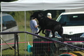 Enlarge photo 62
