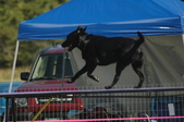 Enlarge photo 63