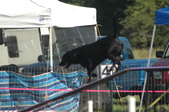 Enlarge photo 65
