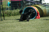 Enlarge photo 66