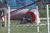 Enlarge photo 67