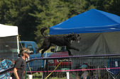 Enlarge photo 68