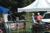 Enlarge photo 69