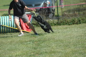 Enlarge photo 72