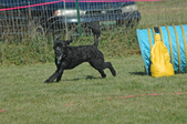 Enlarge photo 73