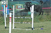 Enlarge photo 74