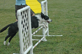Enlarge photo 76