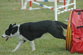 Enlarge photo 77