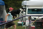 Enlarge photo 78