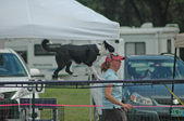 Enlarge photo 79