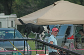 Enlarge photo 80