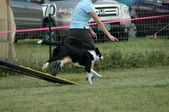 Enlarge photo 81