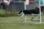 Enlarge photo 82