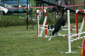 Enlarge photo 83
