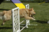 Enlarge photo 85