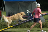 Enlarge photo 86