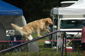 Enlarge photo 87