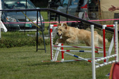 Enlarge photo 90