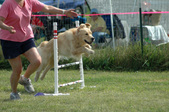 Enlarge photo 91