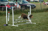 Enlarge photo 93