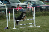 Enlarge photo 94