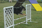 Enlarge photo 95