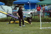 Enlarge photo 96