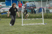 Enlarge photo 97