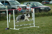 Enlarge photo 98