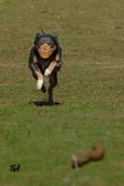 Enlarge photo 16