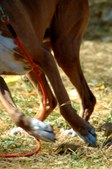 Enlarge photo 34