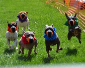 Enlarge photo 159