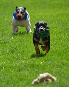Enlarge photo 156