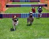 Enlarge photo 148